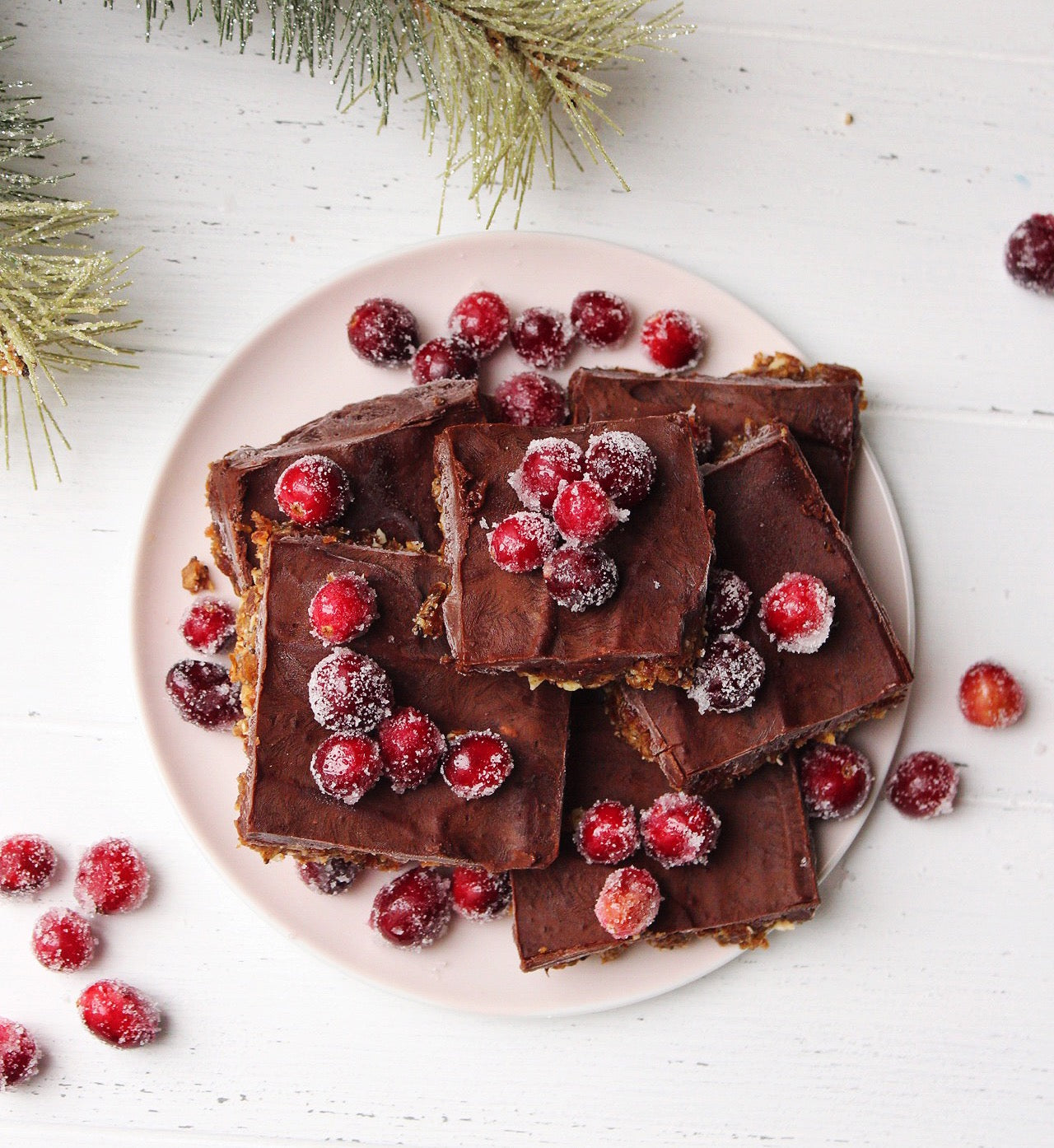 Frozen Cranberry Bars Recipe | BIOHM Health