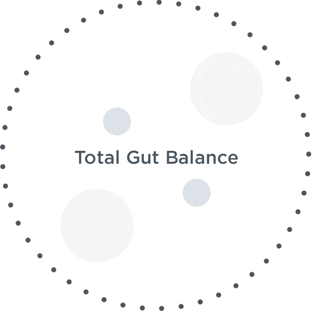 Total gut balance animation 