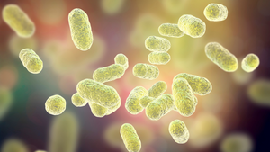 Unlocking the Power of Your Microbiome