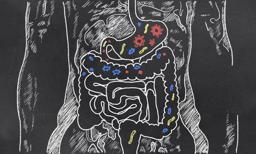 7 Signs Your Gut Is Out Of Balance