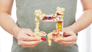 Vacation Constipation: Why Travel Disrupts Your Gut Health