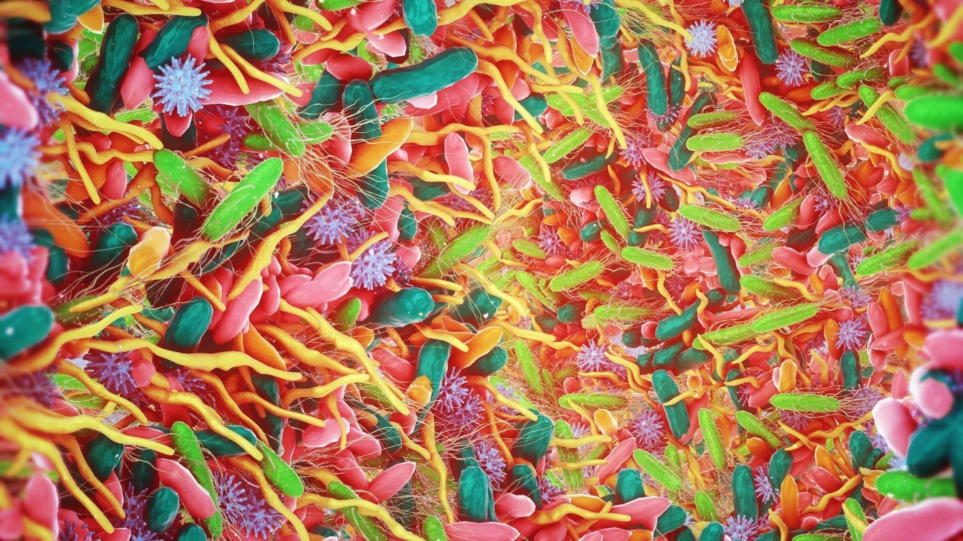 BIOHM Health: The Future of Gut Health is Fungi and Bacteria Together