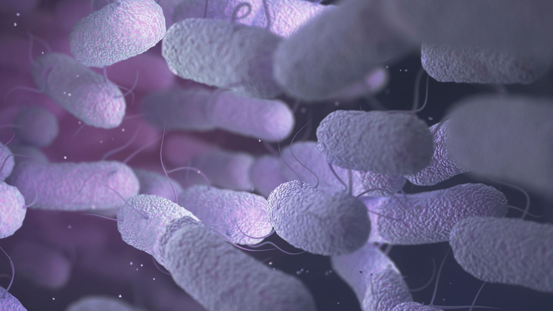 What Is Proteobacteria and Why Should You Care About It?
