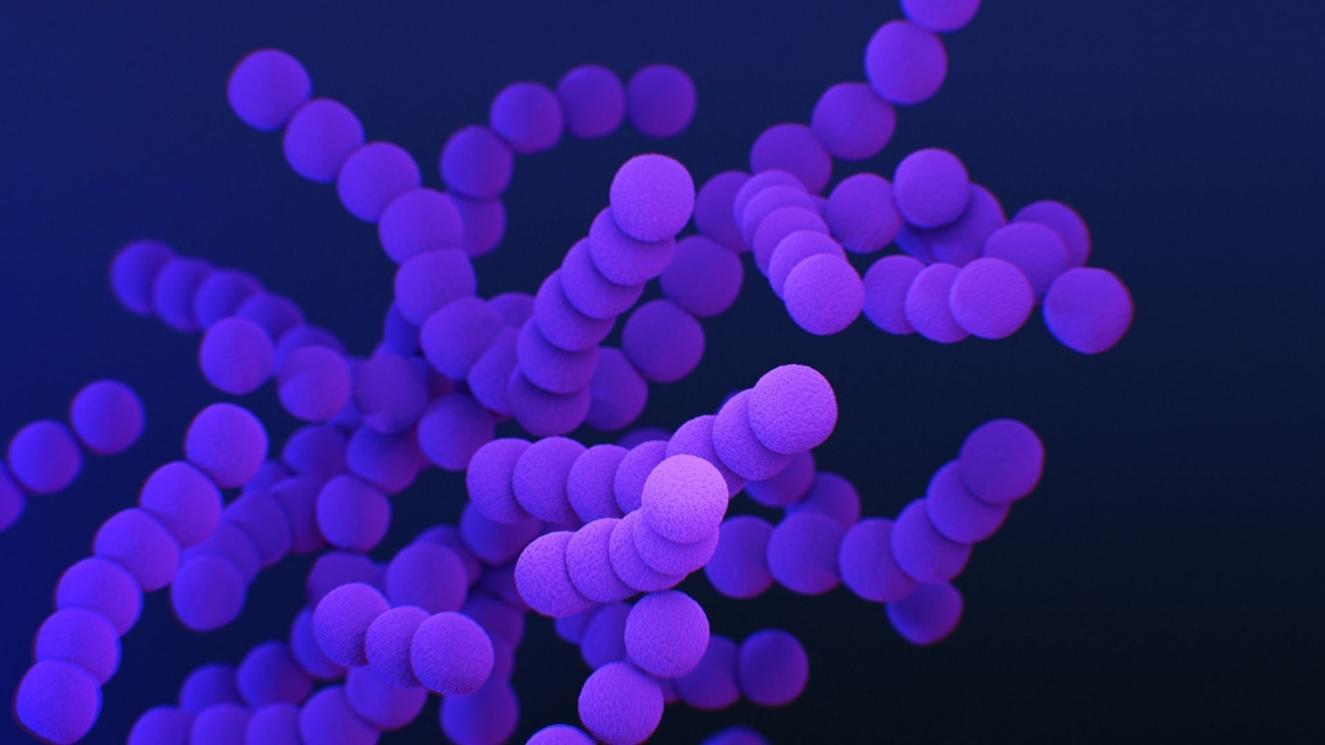 What Is Akkermansia and How Does It Impact Your Gut Health?