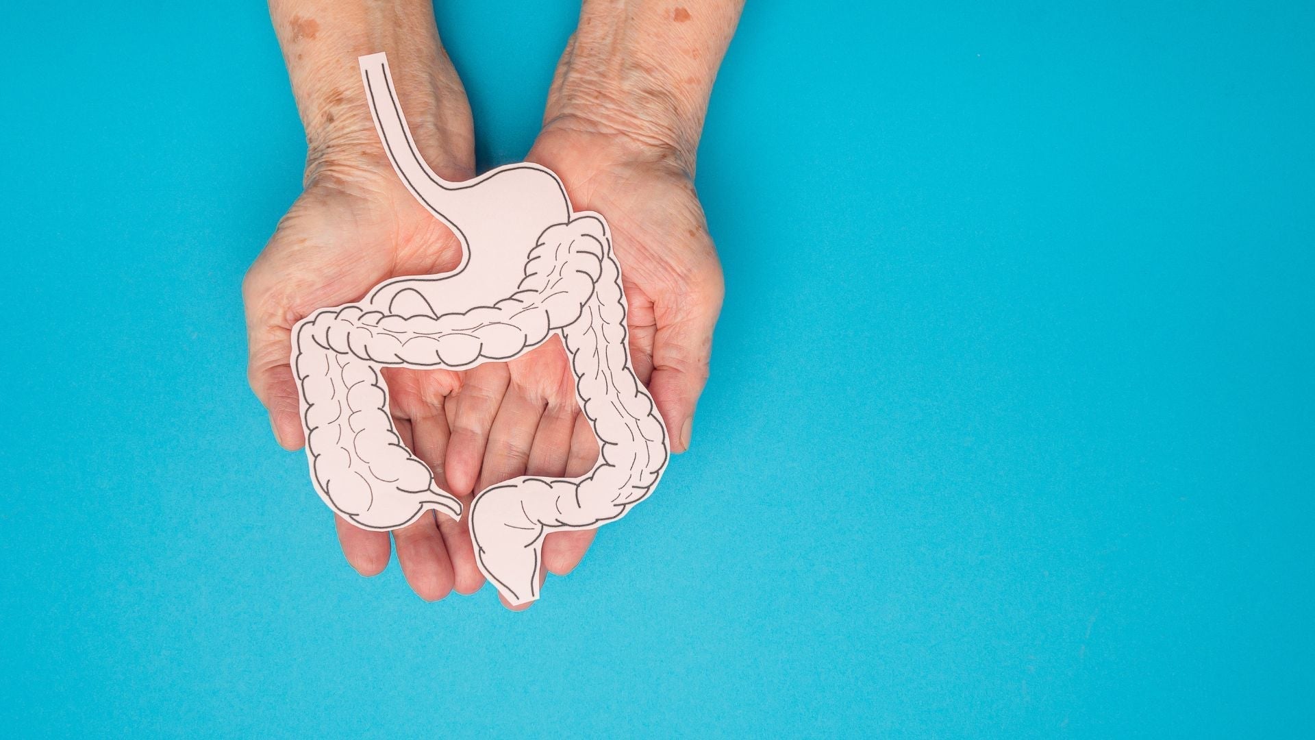 Is Your Probiotic Actually Working? How to Tell