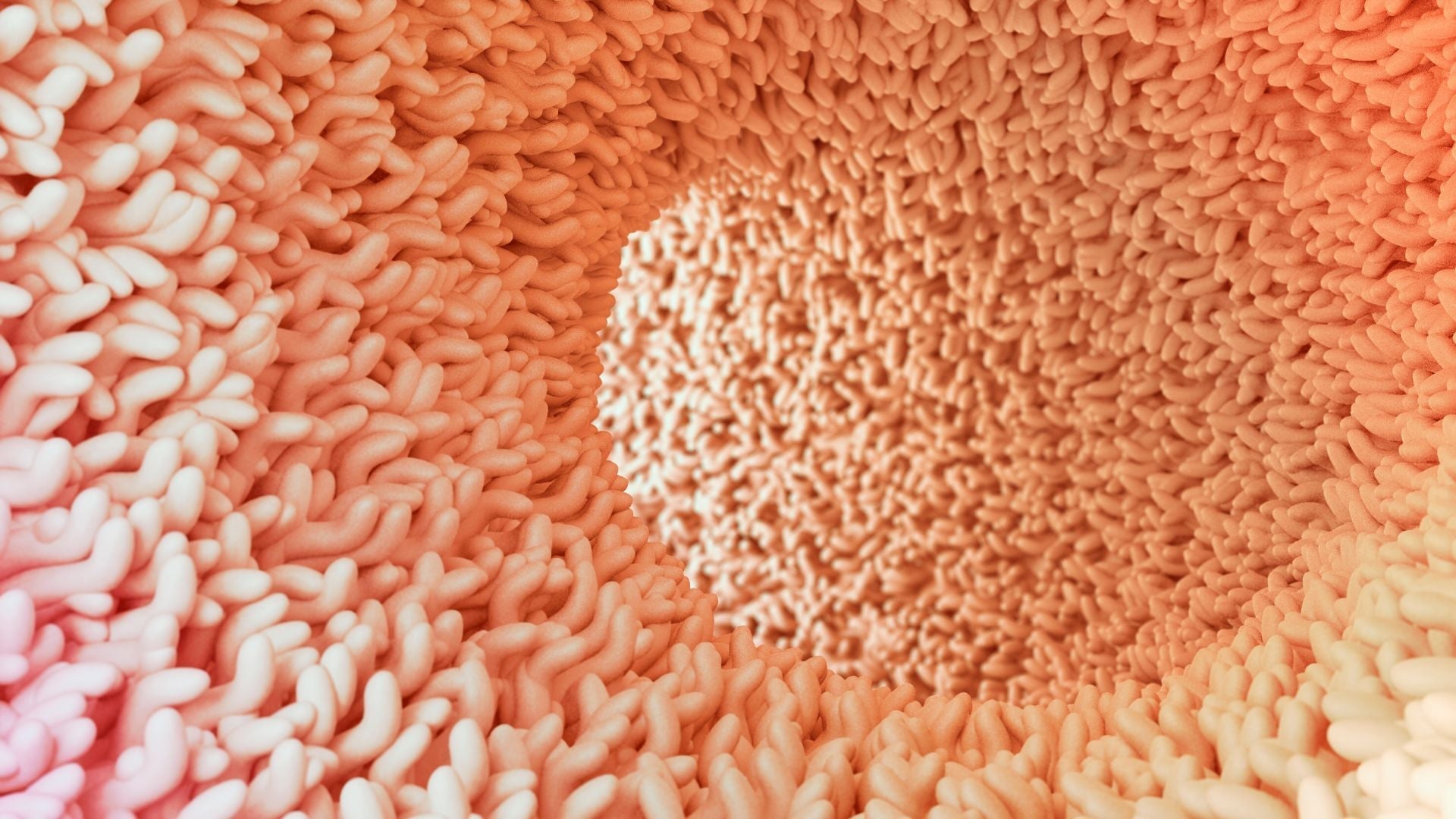 The Role of Fungi in the Gut Microbiome: A Missing Piece?