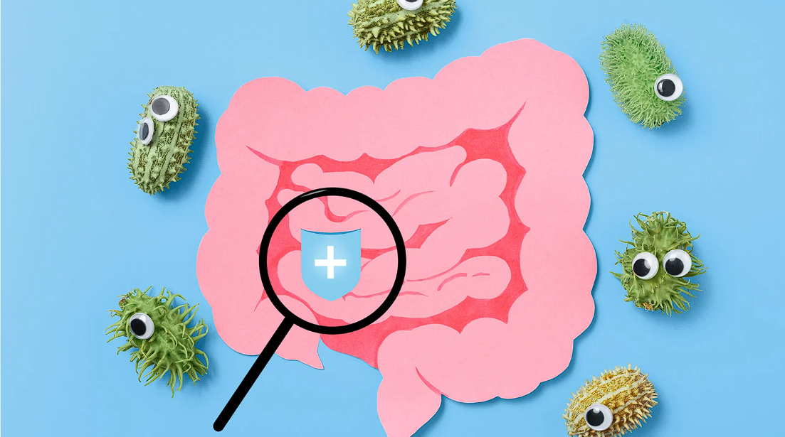 Boosting Immunity Through Gut Health: The Power of Probiotics