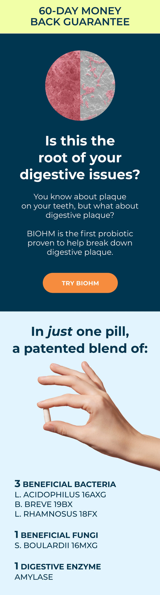 Digestive plaque and pill breakdown