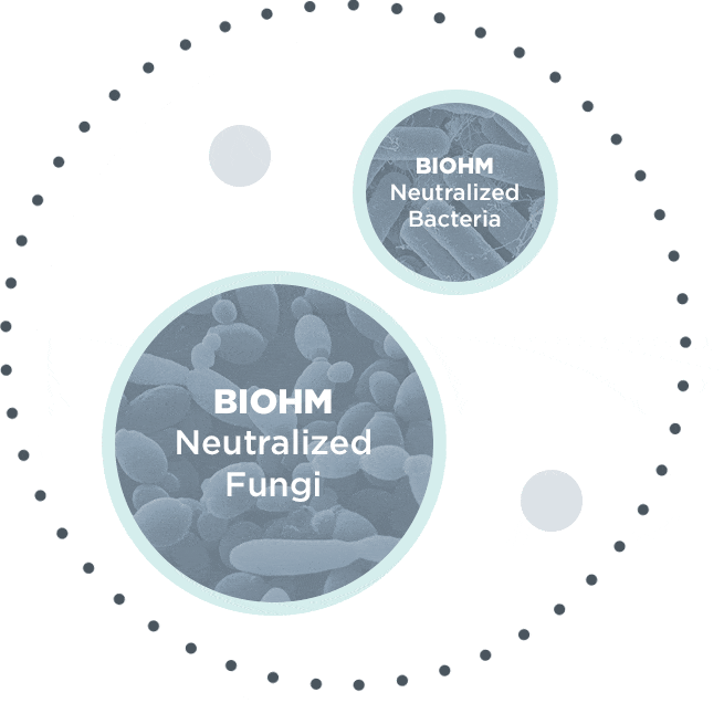 Biohm Range Check out The BIOHM Difference | BIOHM Health