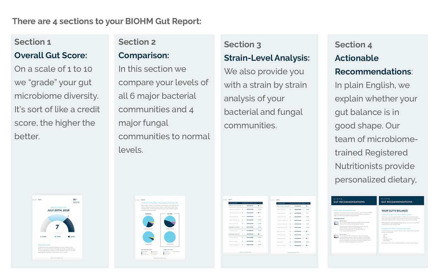 the 4 sections of the BIOHM Health Gut Report